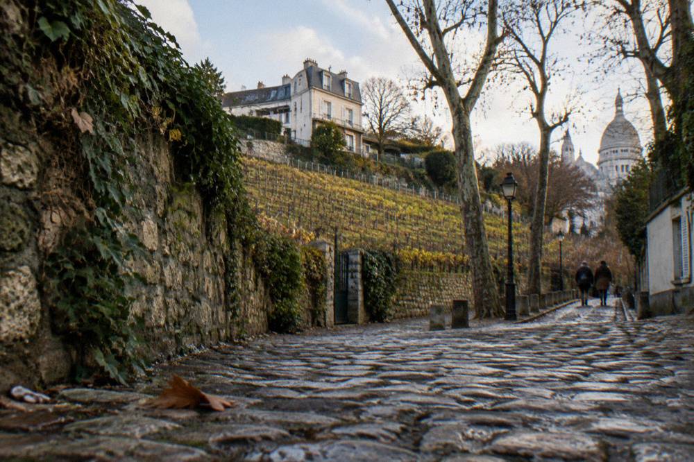 A narrow cobbled Paris street lined with a stone wall and climbing vines