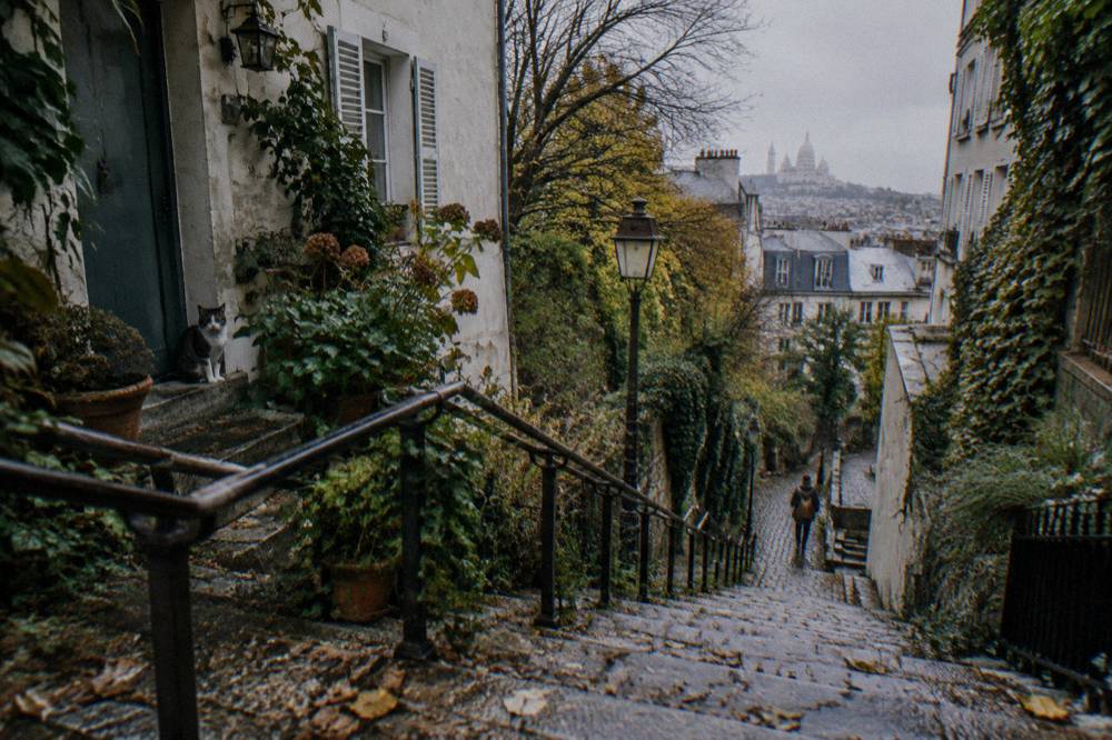 A steep stone staircase between old houses on the Montmartre hill with railings and plants